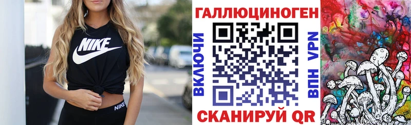 Псилоцибиновые грибы Psilocybine cubensis  Благодарный 